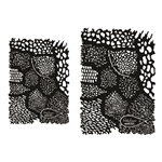 Forest Shadow Texture Mesh - 2 Pack