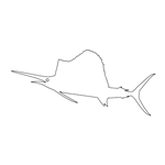 Sailfish